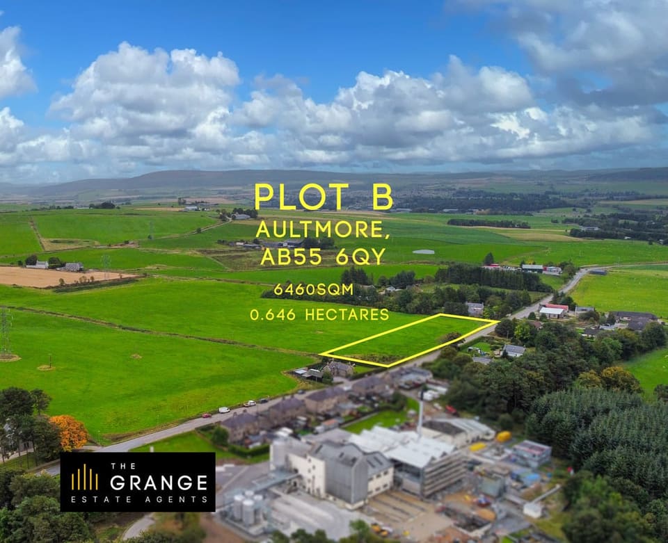 Aerial view of the site