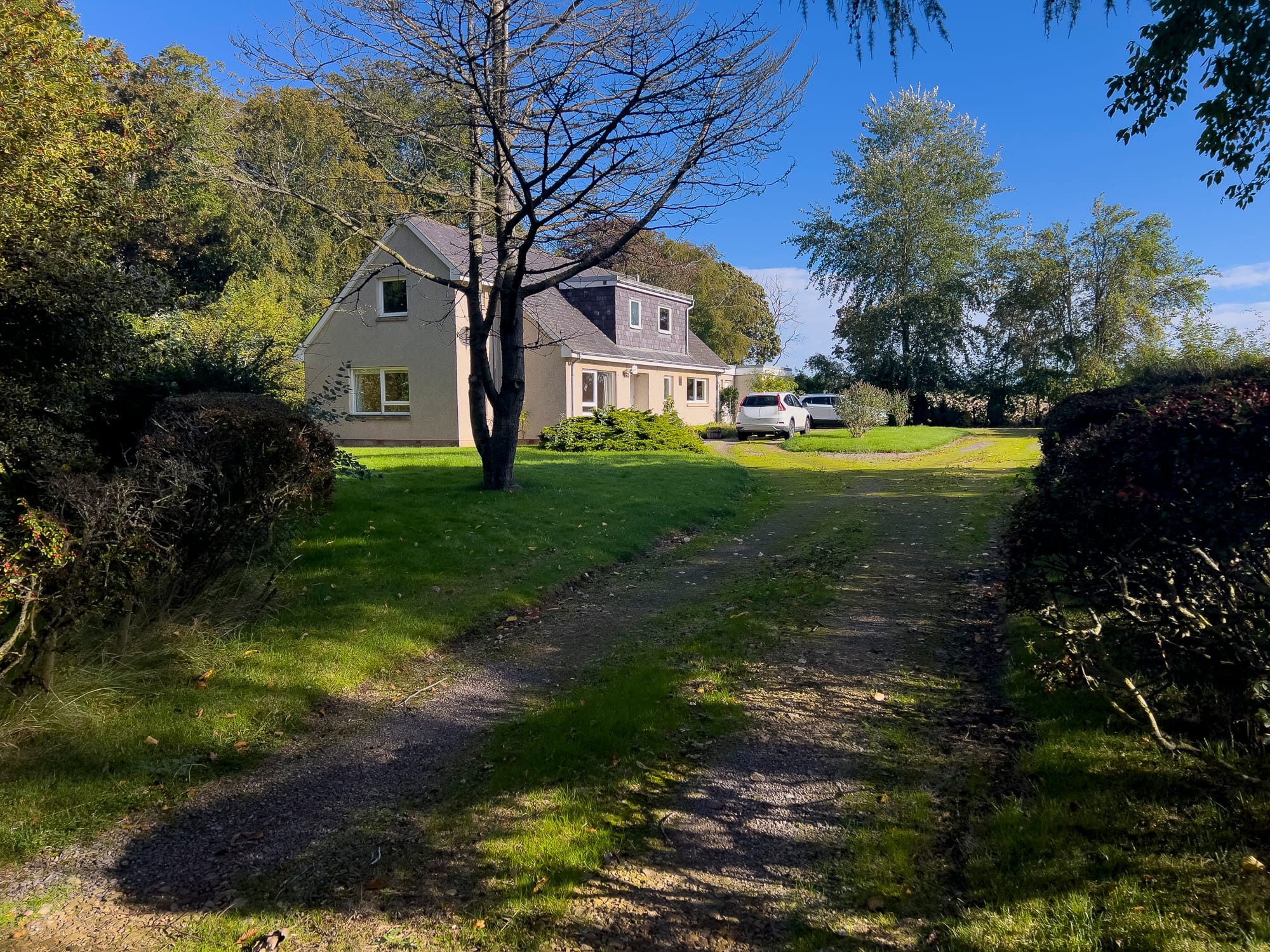 The driveway approaching the house through the trees