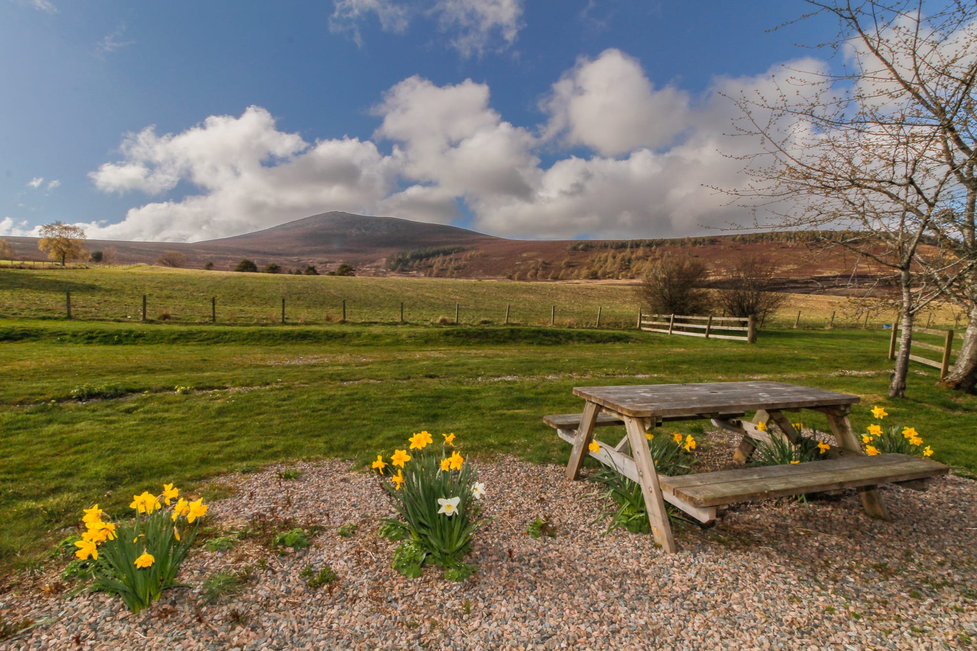 Surrounding countryside