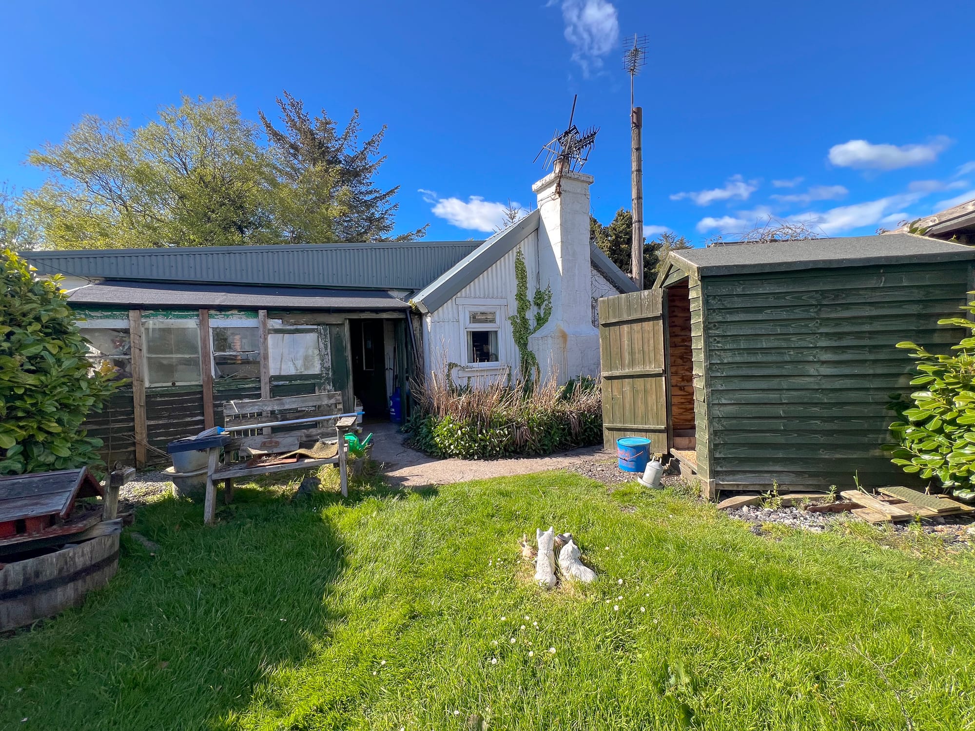 The cottage and garden