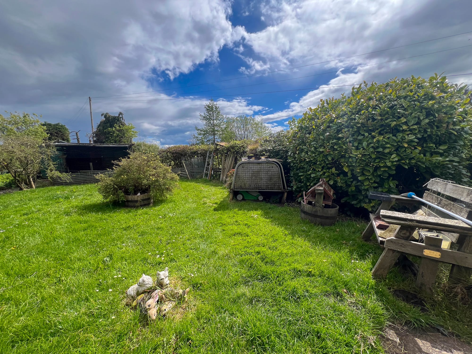 The garden