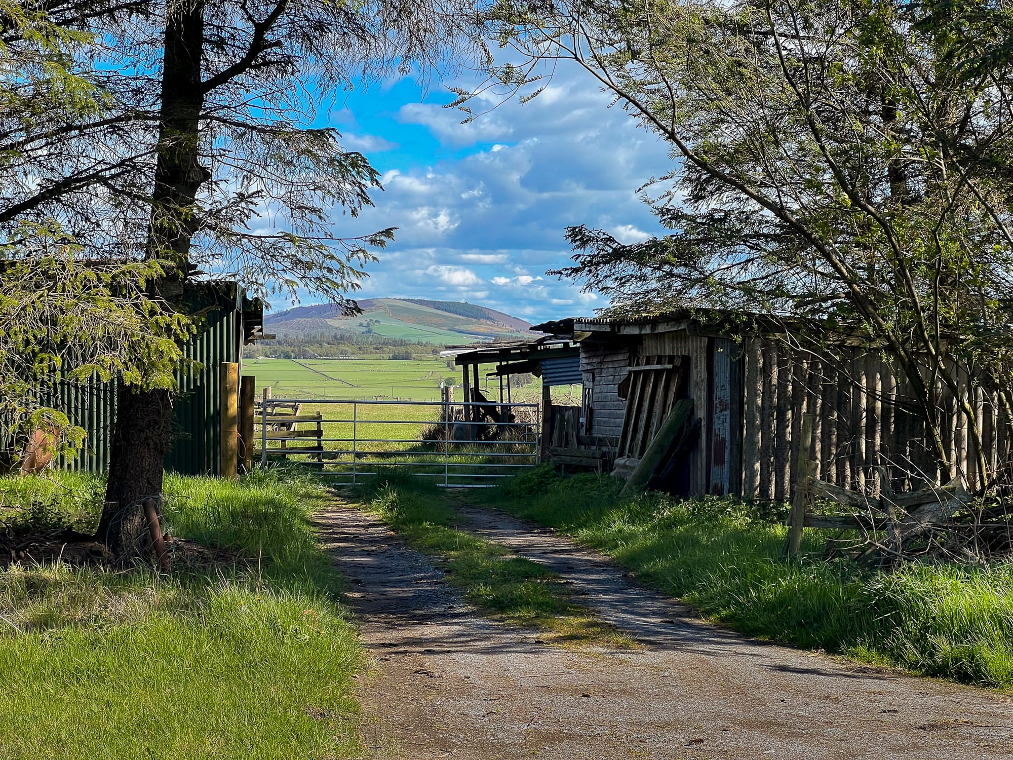 The grounds and countryside