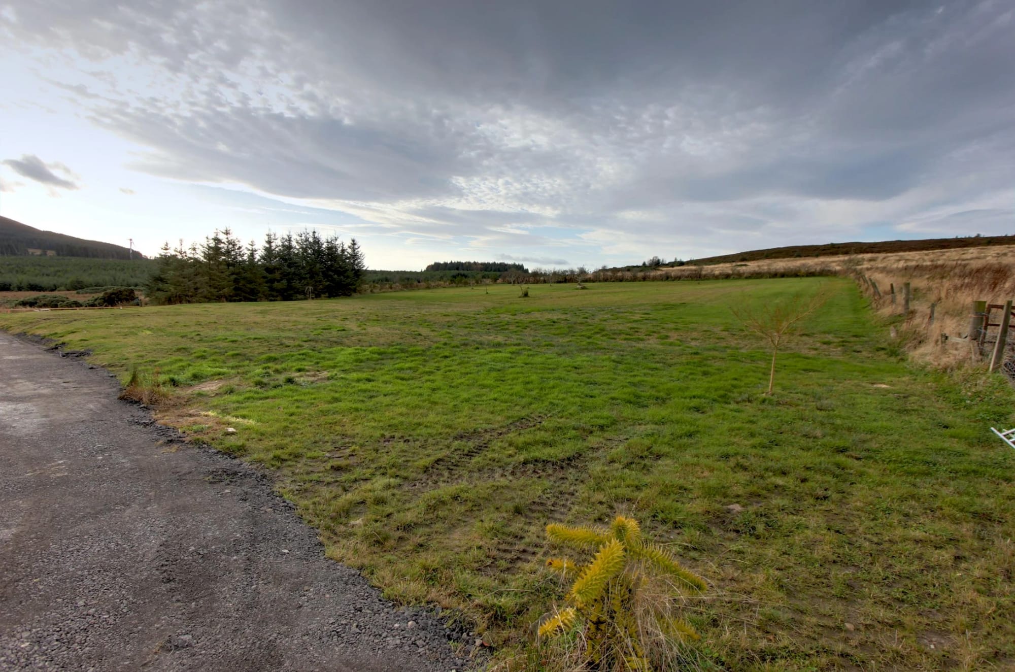 The grounds