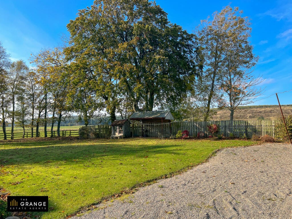 The garden and summerhouse