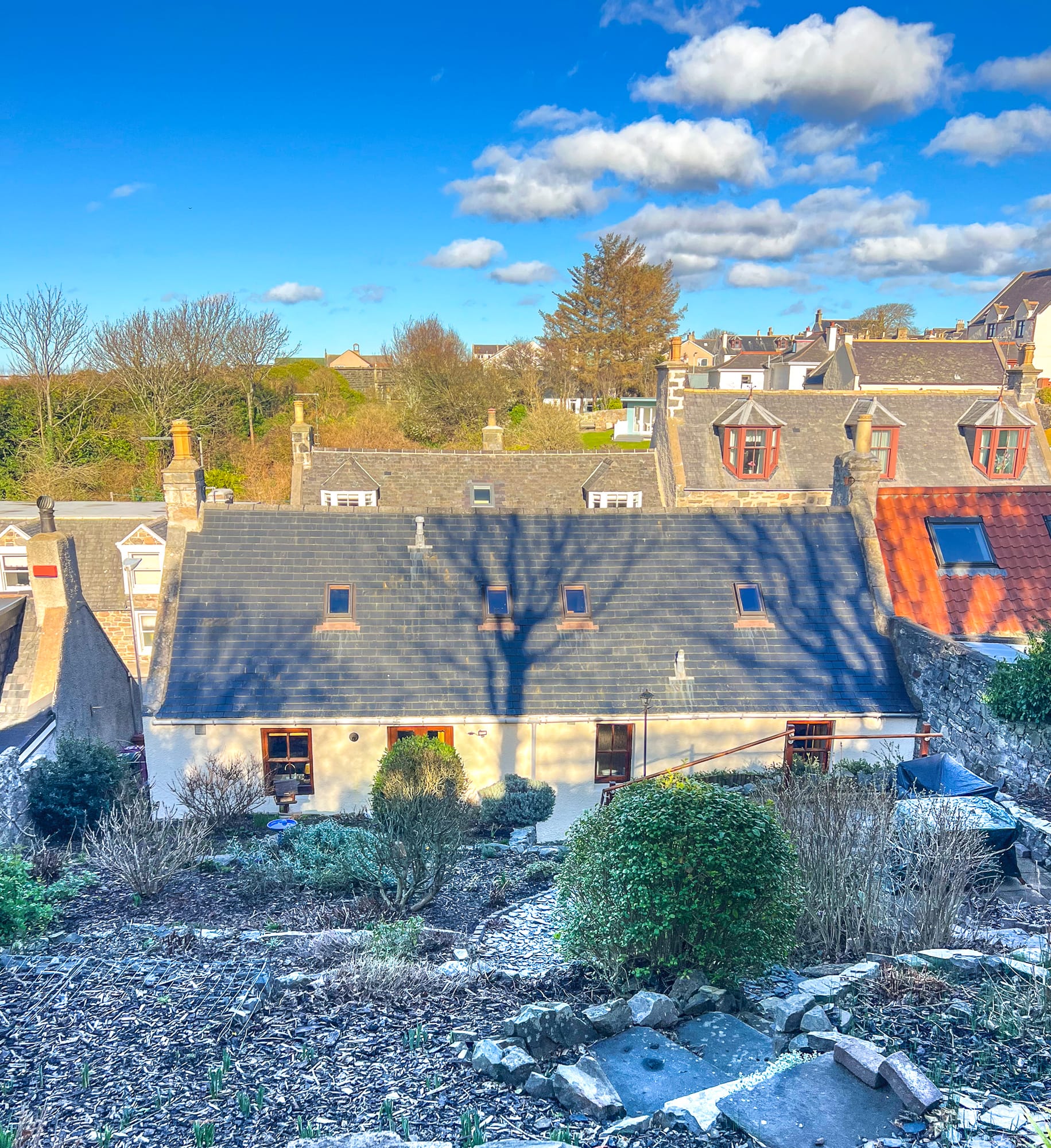 The cottage and garden