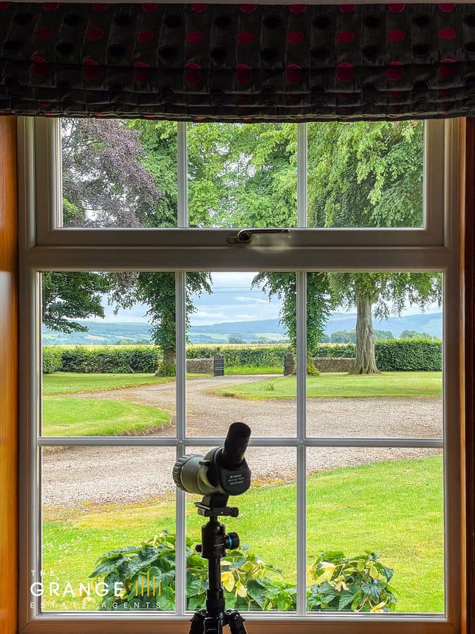 Views over the grounds