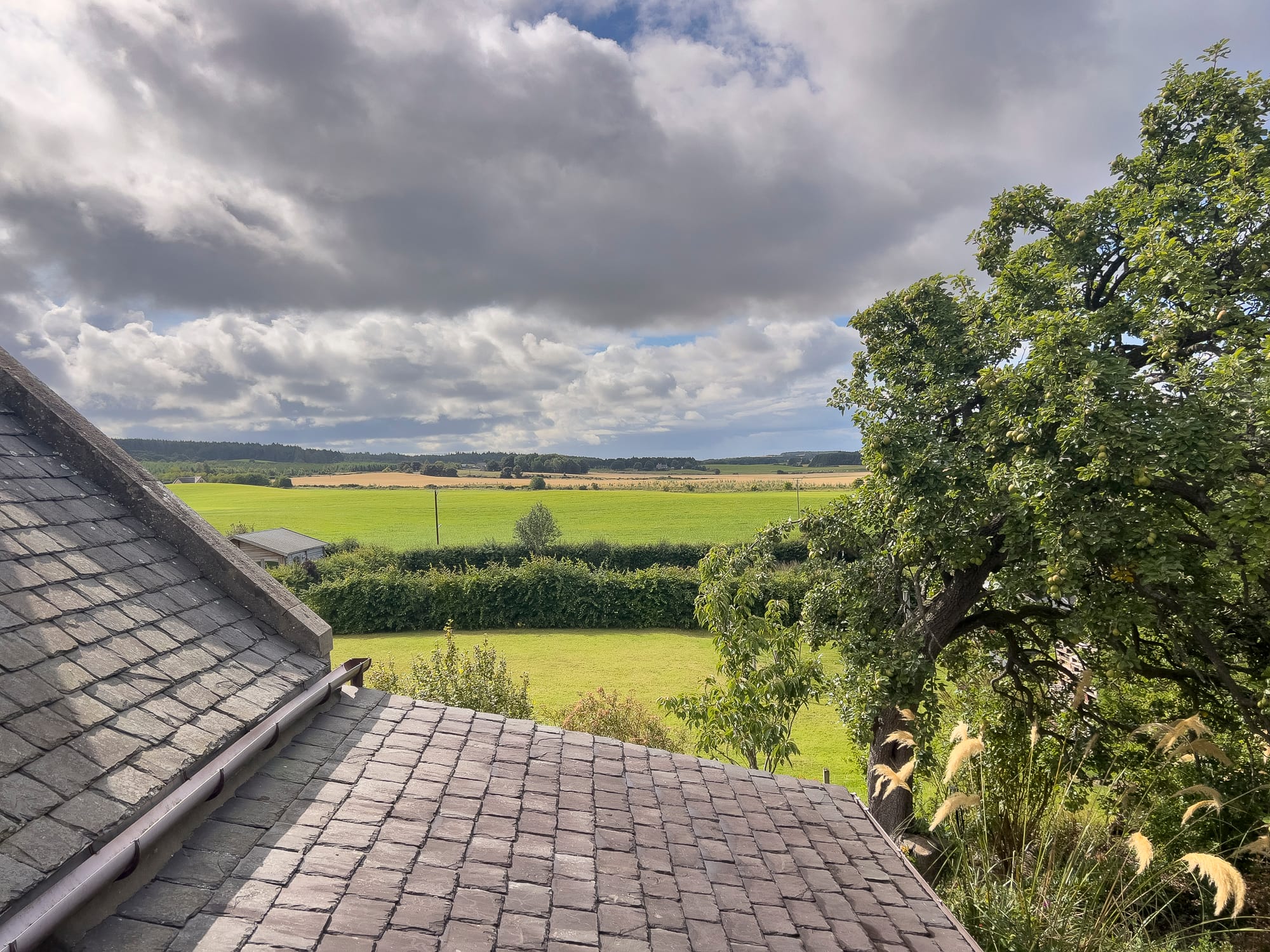 Farmland view over the roof