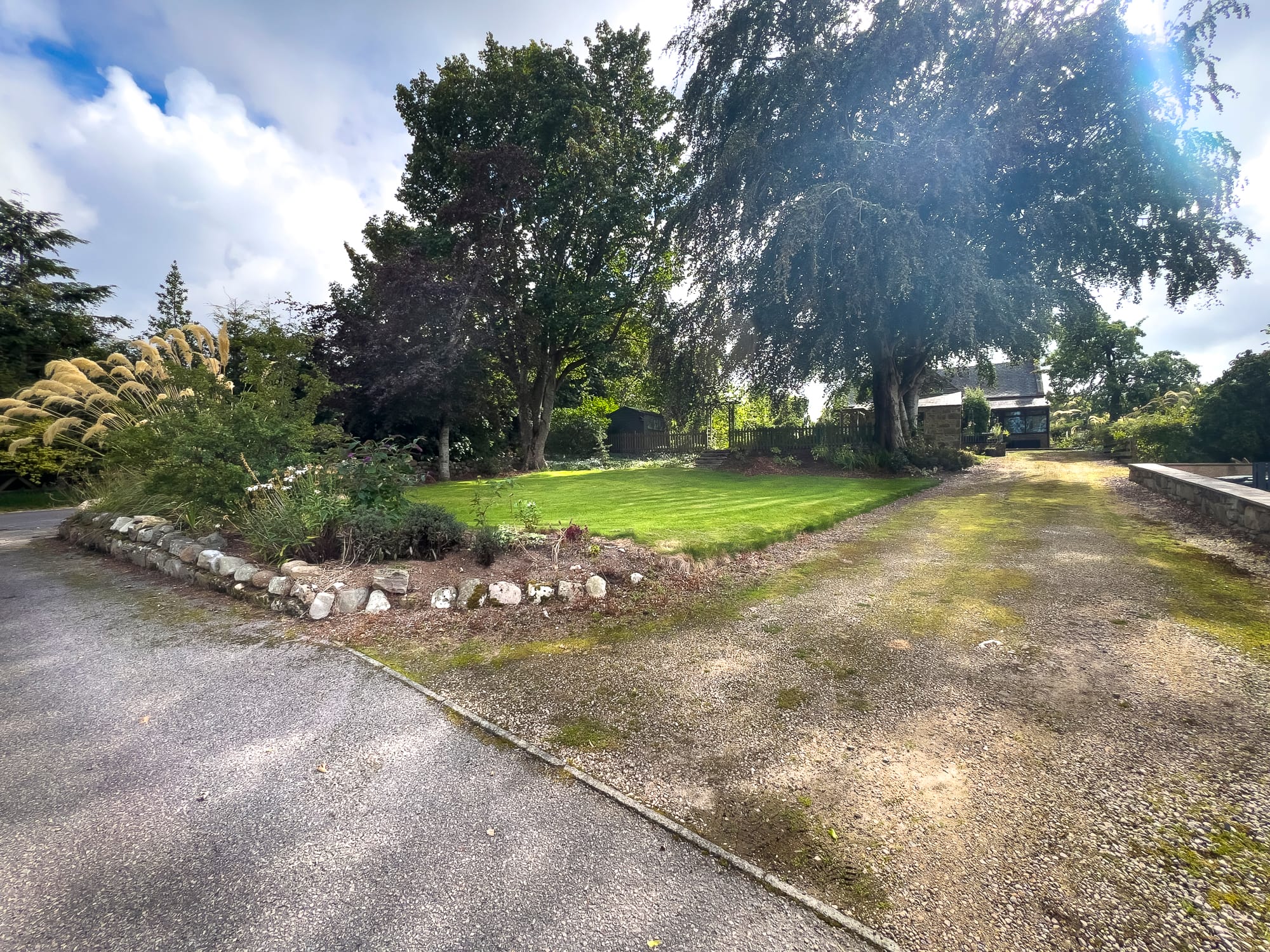 Driveway and front lawn