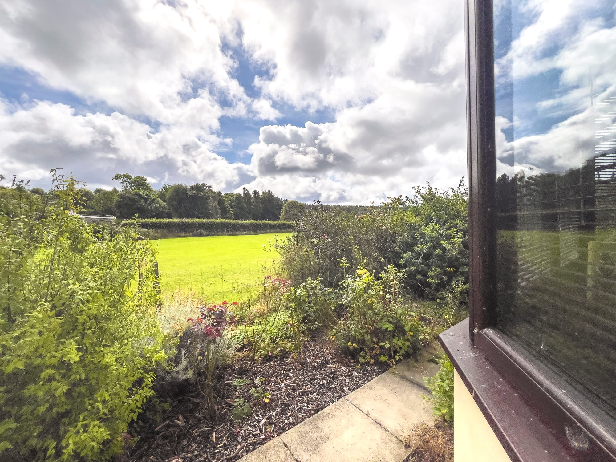 Garden looking out to the fields